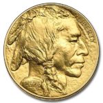 2020 American Gold Buffalo 1 oz Coin