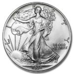 1991 American Silver Eagle Coin