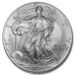 2004 American Silver Eagle Coin
