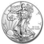 2013 American Silver Eagle Coin