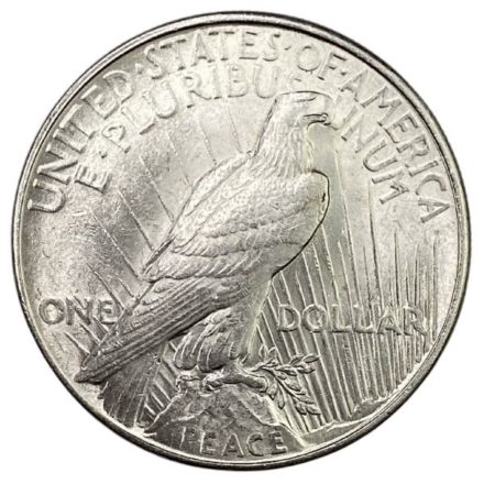 Peace Silver Dollar Coin - AU Reverse