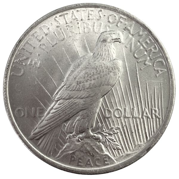 Are Silver Dollars Worth It?