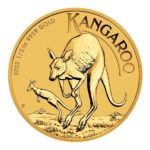 2022 1/2 oz Australian Gold Kangaroo Coin