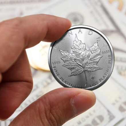 2022 1 oz Canadian Platinum Maple Leaf Coin in Hand