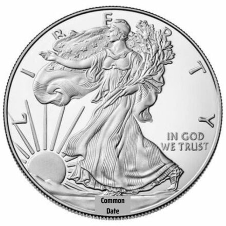 1 oz Proof Silver Eagle Coin with Box & Papers