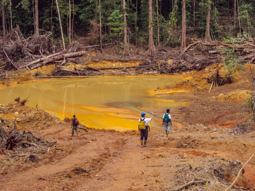 Illegal Gold Mining in the Amazon
