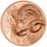 2022 50 gram Magnificent Argali Copper Coin Reverse