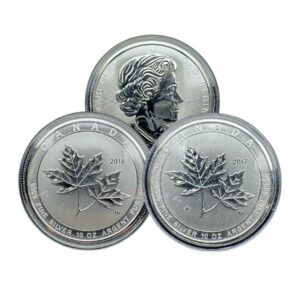 Canadian 10 oz Silver Magnificent Maple Coins