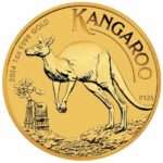 2024 1 oz Australian Gold Kangaroo Coin